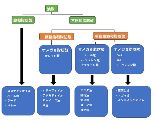 オレイン酸は必須脂肪酸ではない その答えは油の詳細図で一目瞭然 私のオイル生活